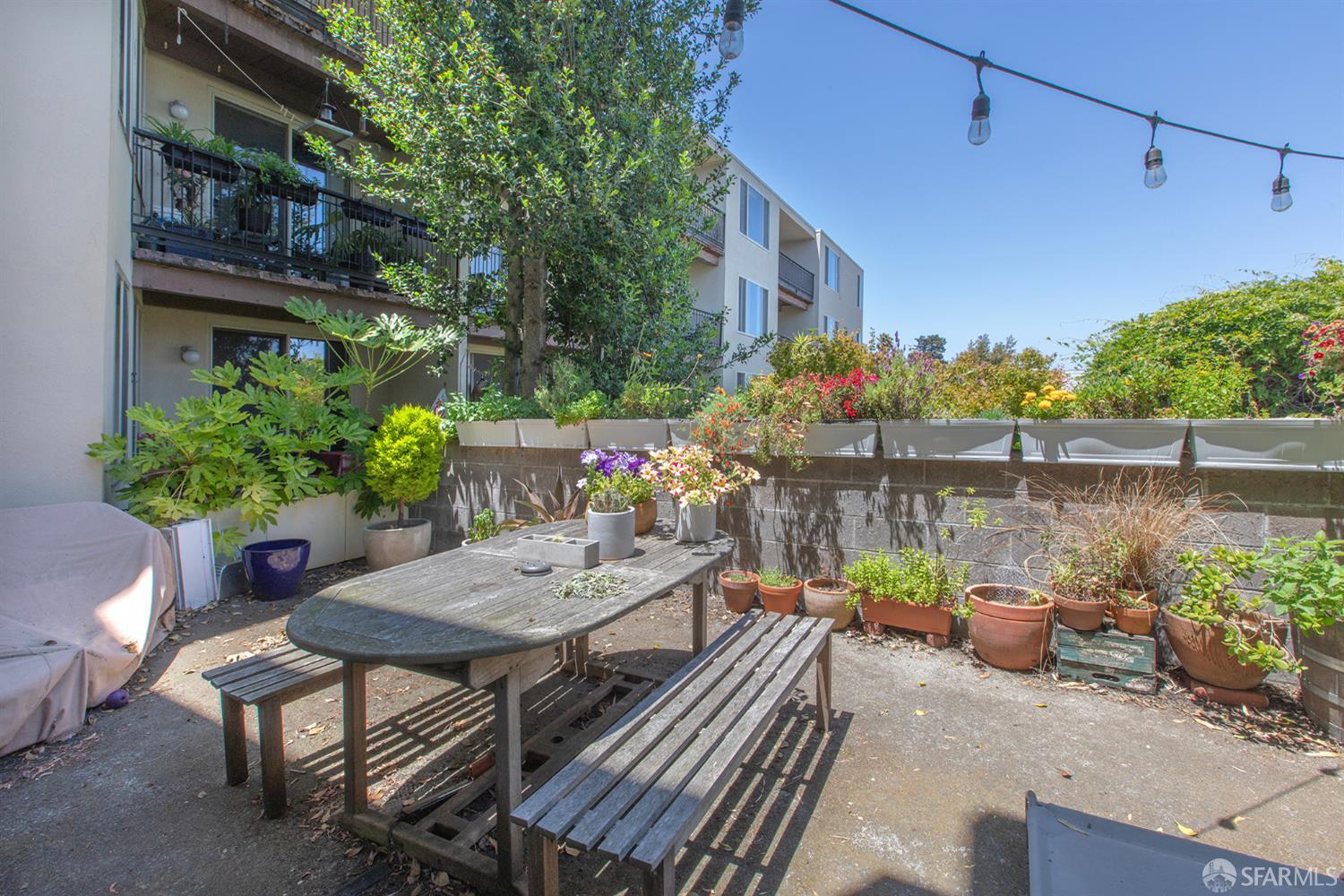 Detail Gallery Image 4 of 41 For 3770 24th St, San Francisco,  CA 94114 - – Beds | – Baths