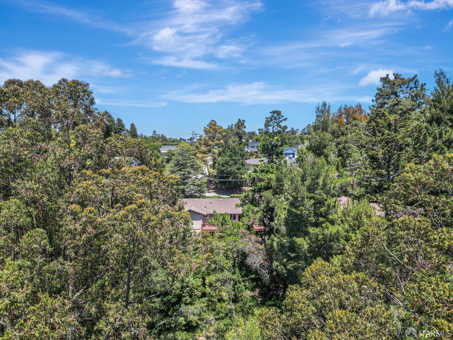 Detail Gallery Image 66 of 84 For 1426 Bel Aire Rd, San Mateo,  CA 94402 - 3 Beds | 3 Baths