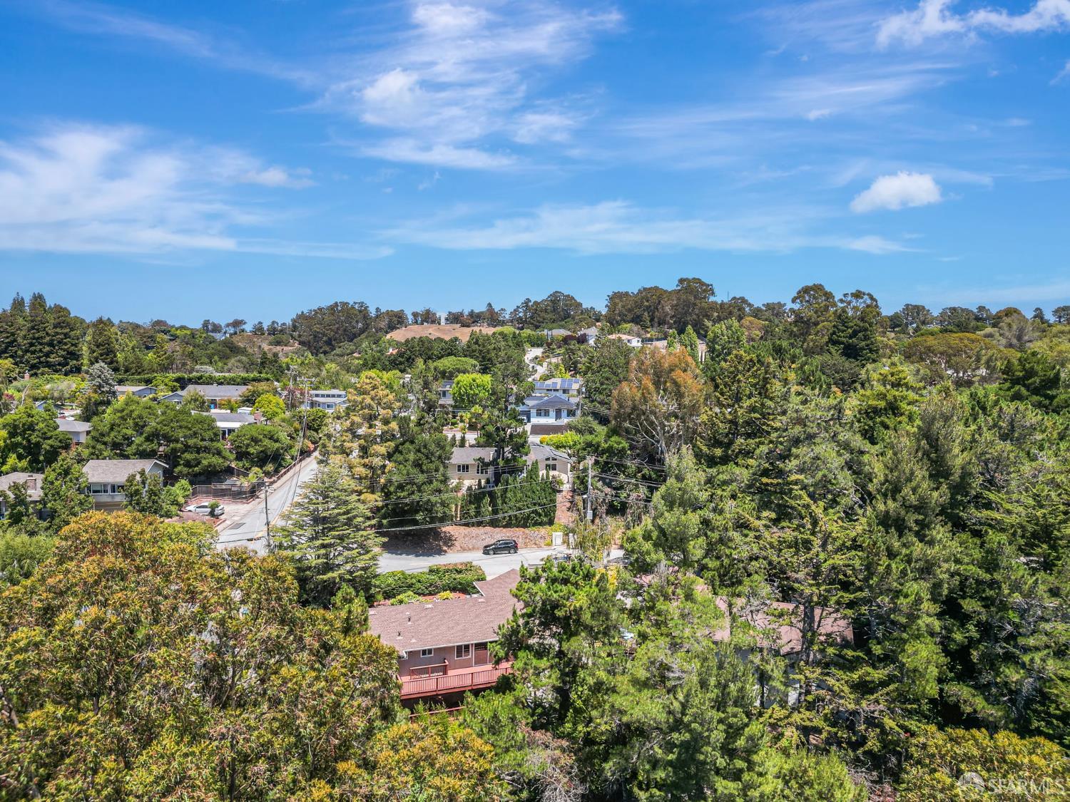 Detail Gallery Image 69 of 84 For 1426 Bel Aire Rd, San Mateo,  CA 94402 - 3 Beds | 3 Baths