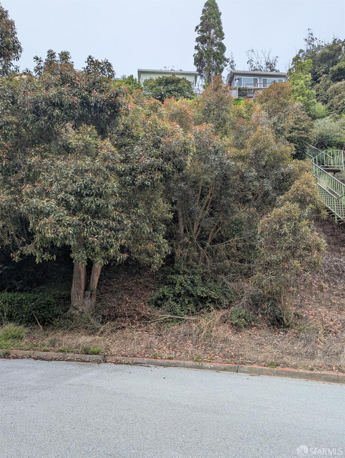 202 Oak Park, San Francisco, CA, 94131