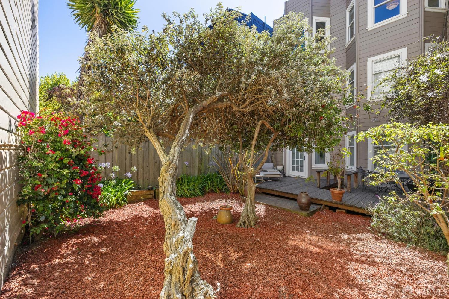 Detail Gallery Image 41 of 46 For 1006 Cole St, San Francisco,  CA 94117 - 3 Beds | 1 Baths