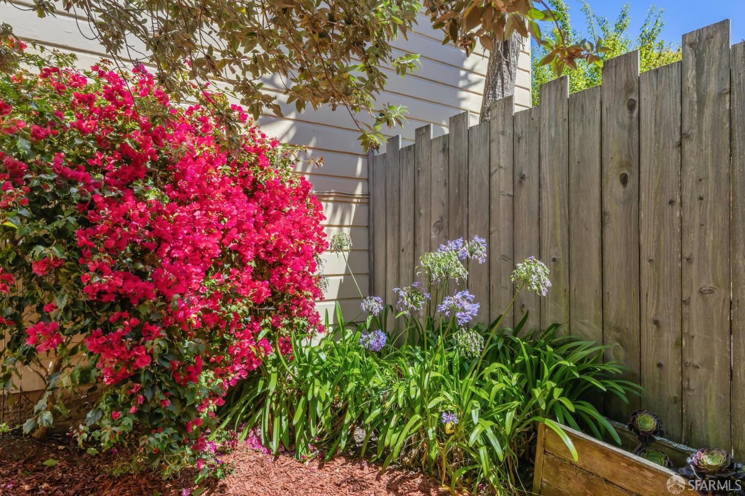 Detail Gallery Image 43 of 46 For 1006 Cole St, San Francisco,  CA 94117 - 3 Beds | 1 Baths