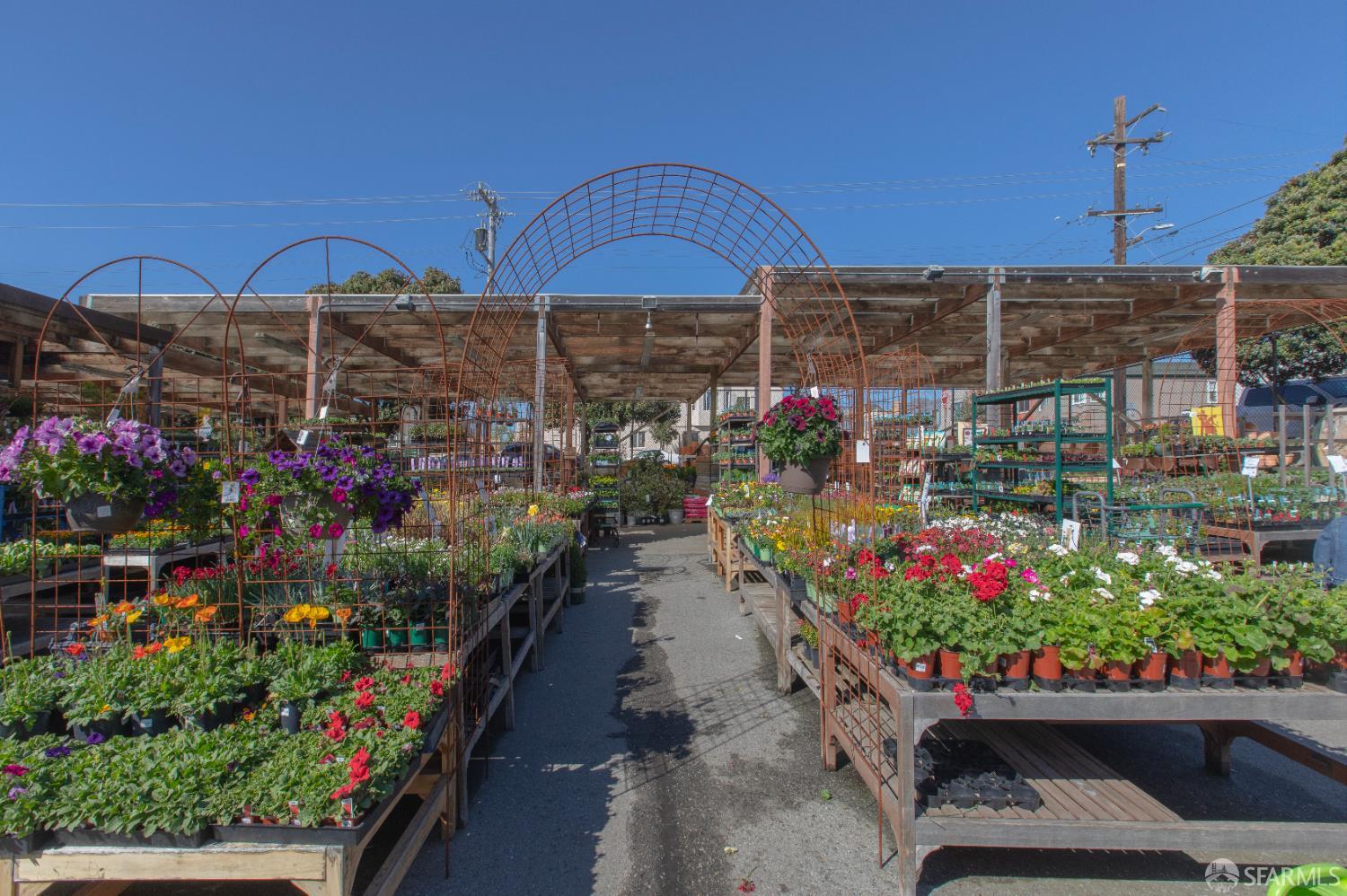 Detail Gallery Image 55 of 77 For 3118 Rivera St, San Francisco,  CA 94116 - 3 Beds | 1/1 Baths
