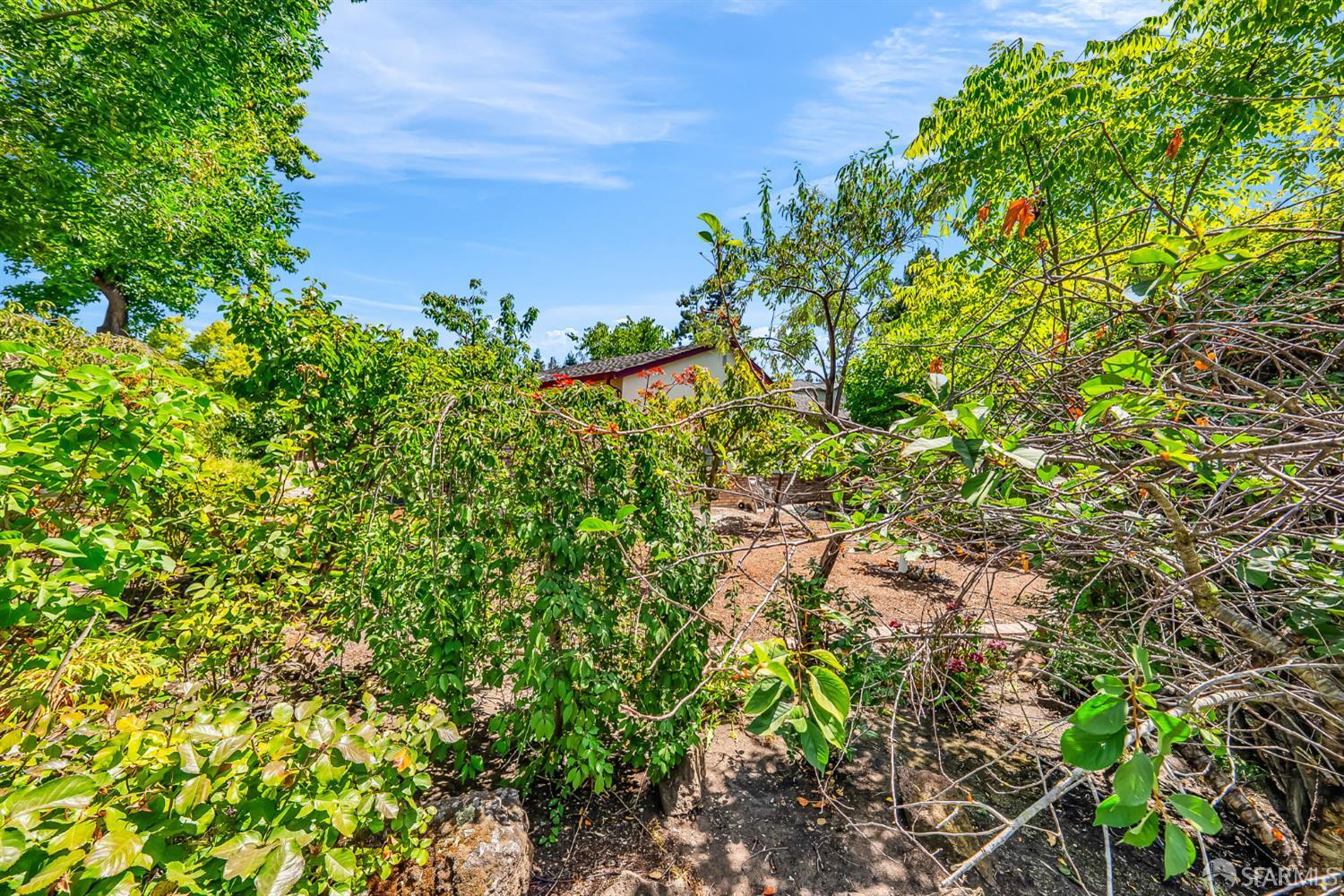 Detail Gallery Image 52 of 55 For 2668 Ross Rd, Palo Alto,  CA 94303 - 3 Beds | 2 Baths