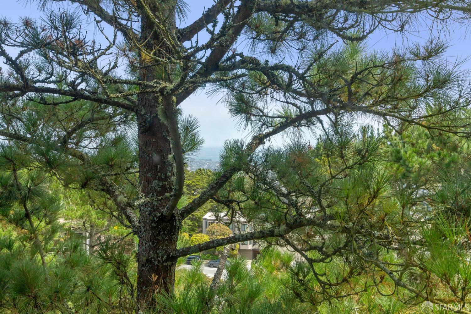 Photo #5: 425049419 Listing 