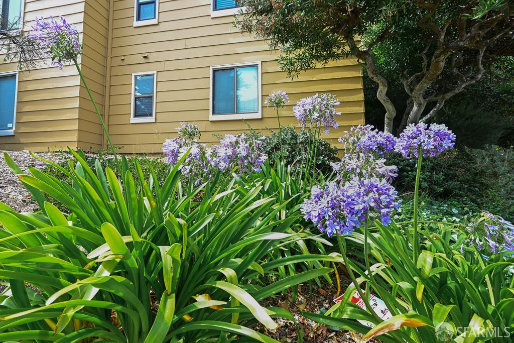 Detail Gallery Image 46 of 54 For 305 Oak Ct, Daly City,  CA 94014 - 3 Beds | 2 Baths