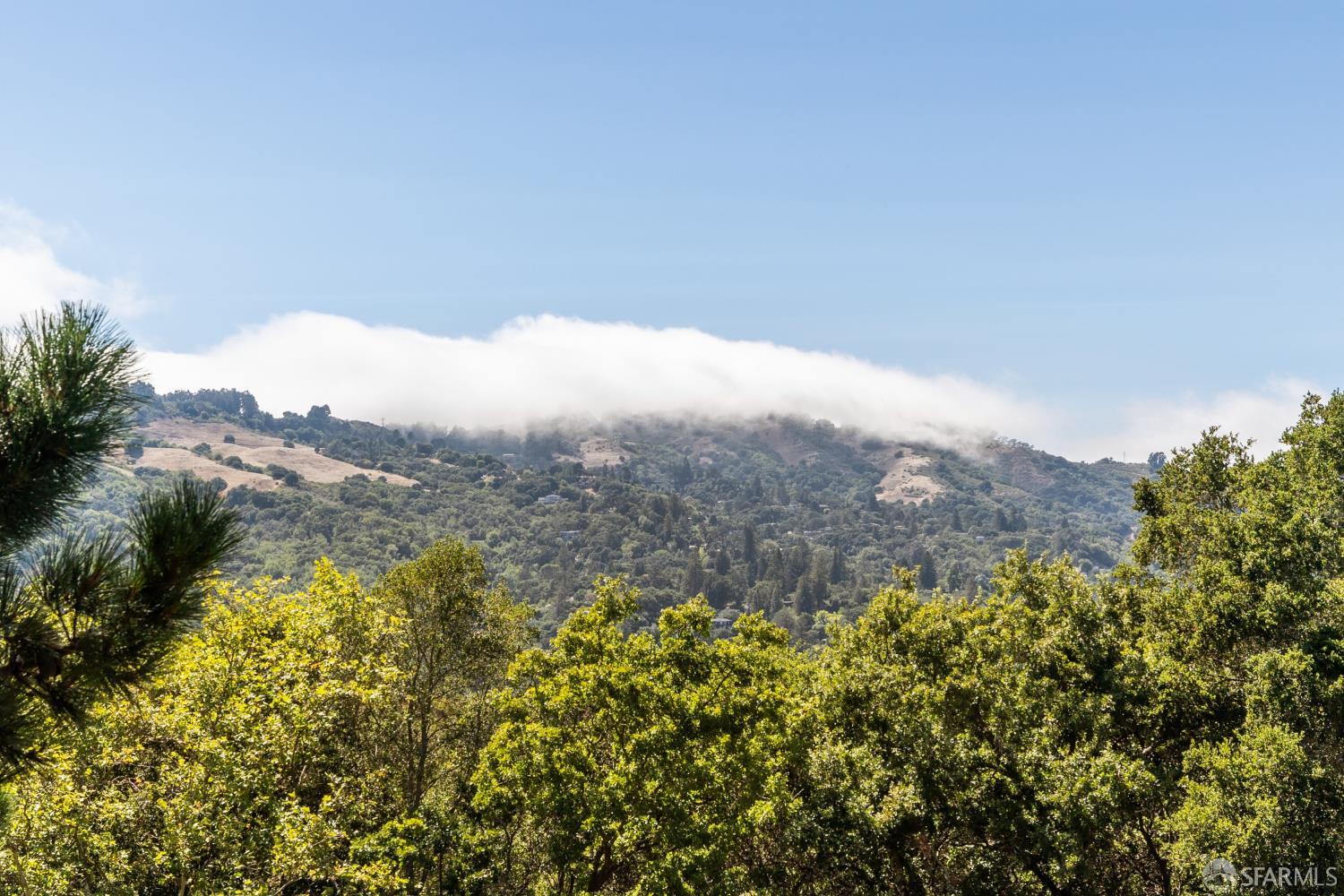 Detail Gallery Image 12 of 50 For 214 the Knoll, Orinda,  CA 94563 - 3 Beds | 3 Baths