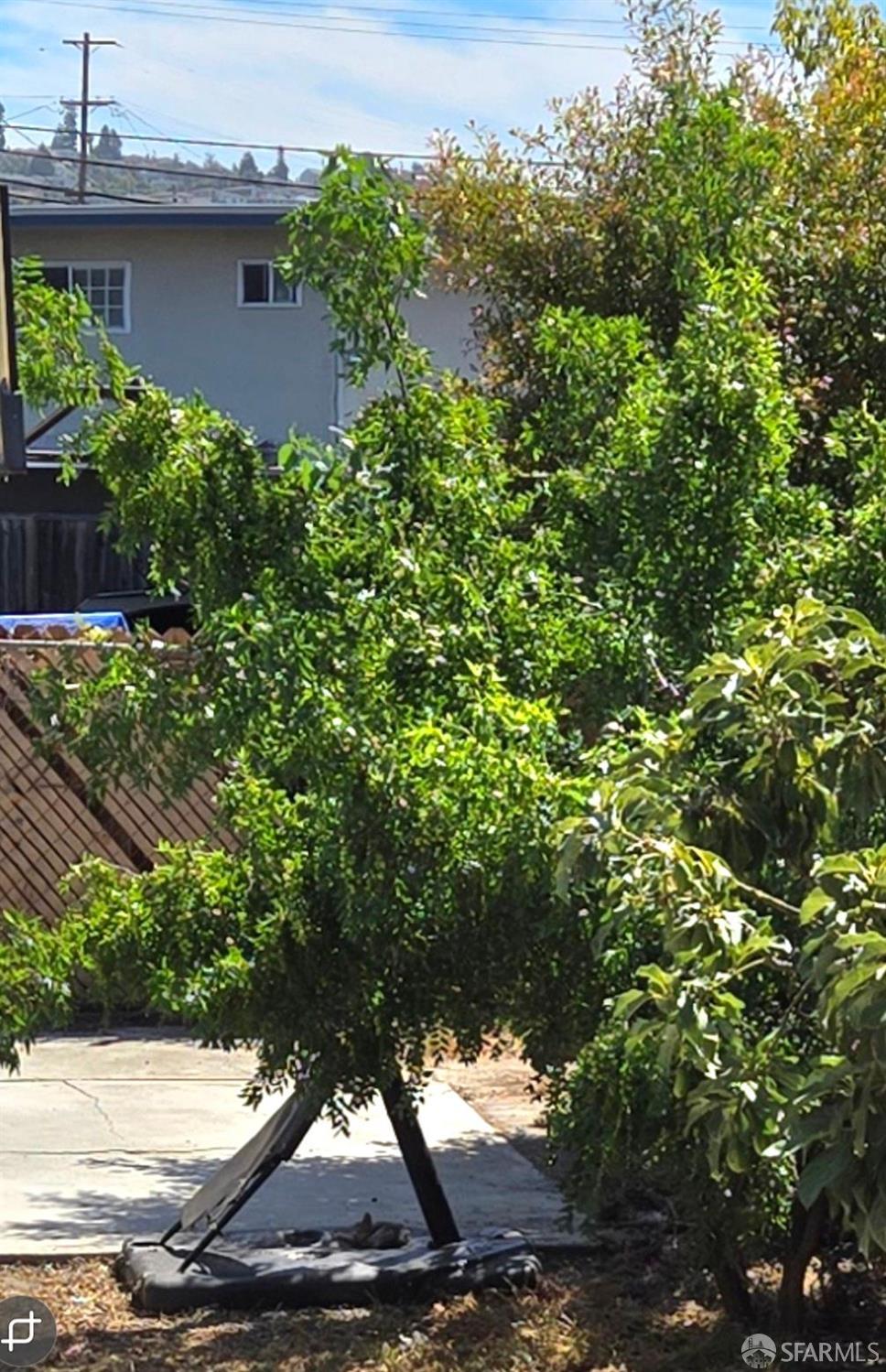 Detail Gallery Image 19 of 19 For 1540 Mono Ave, San Lorenzo,  CA 94578 - 5 Beds | 2/1 Baths