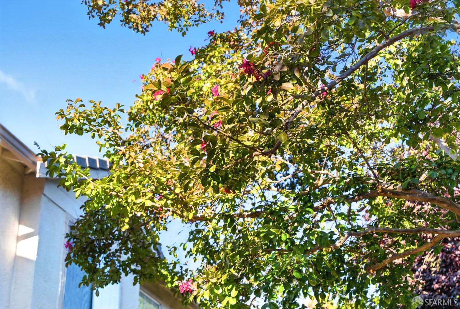 Detail Gallery Image 9 of 19 For 275 Brady Ct, Martinez,  CA 94553 - 4 Beds | 2/1 Baths