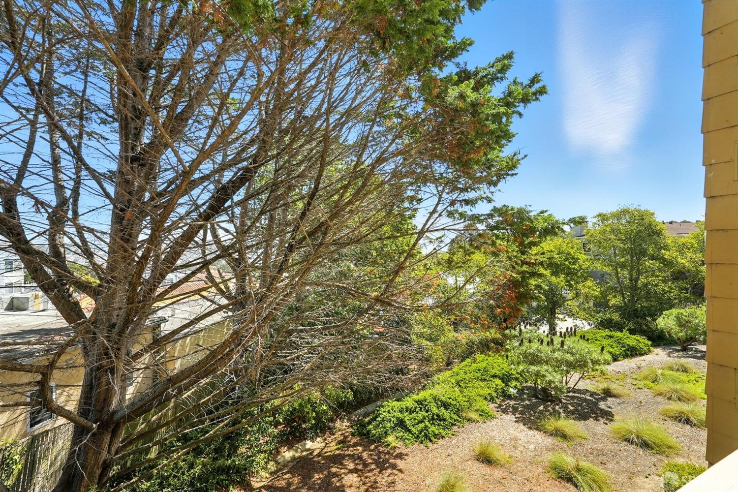 Detail Gallery Image 21 of 37 For 2204 Wildflower Ct, Daly City,  CA 94014 - 2 Beds | 2 Baths