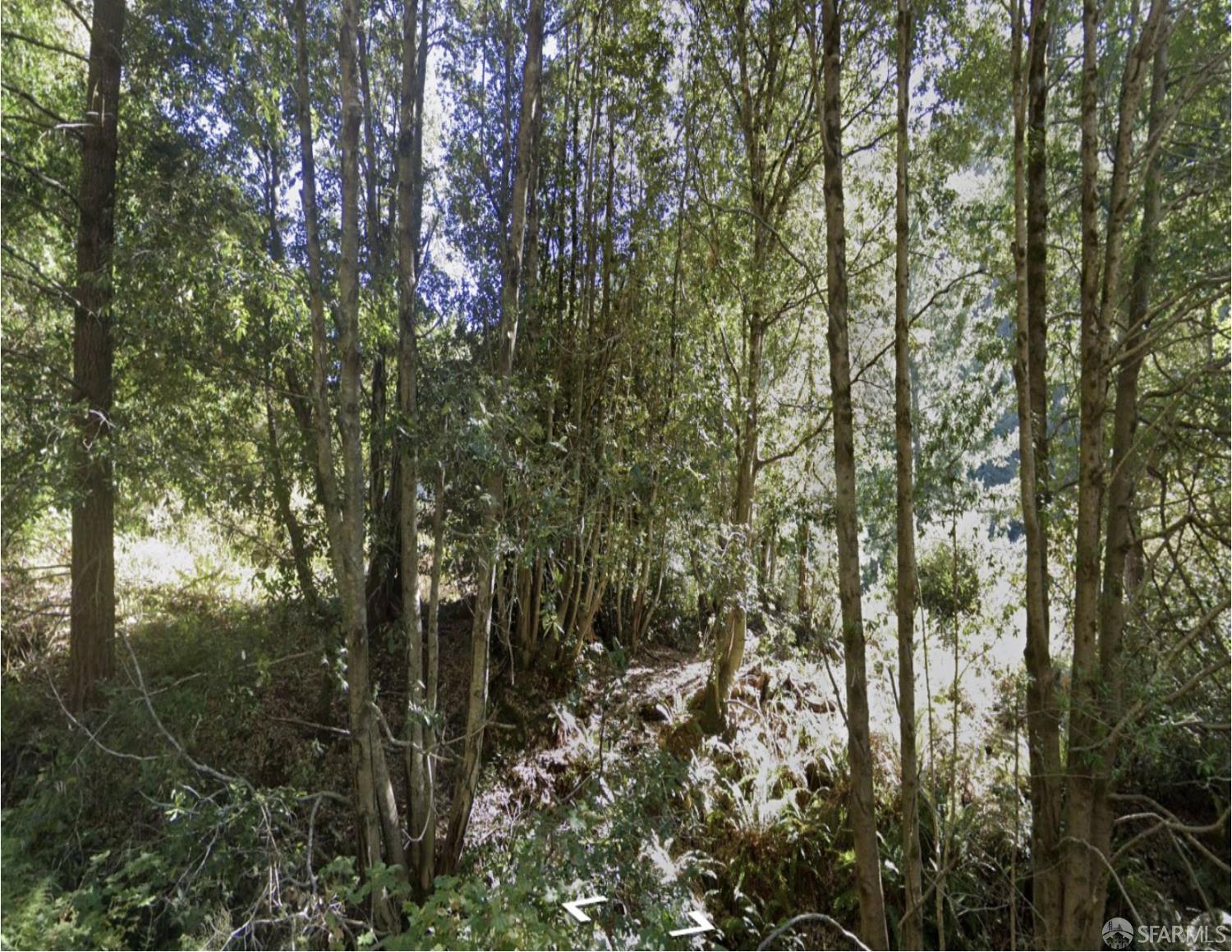 Detail Gallery Image 1 of 1 For 1504 Telegraph Creek Rd, Whitethorn,  CA 95589 - – Beds | – Baths
