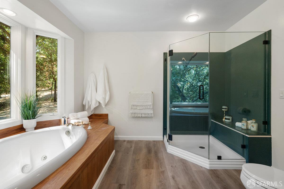 Detail Gallery Image 41 of 99 For 5262 Alhambra Valley Rd, Martinez,  CA 94553 - 5 Beds | 3/1 Baths