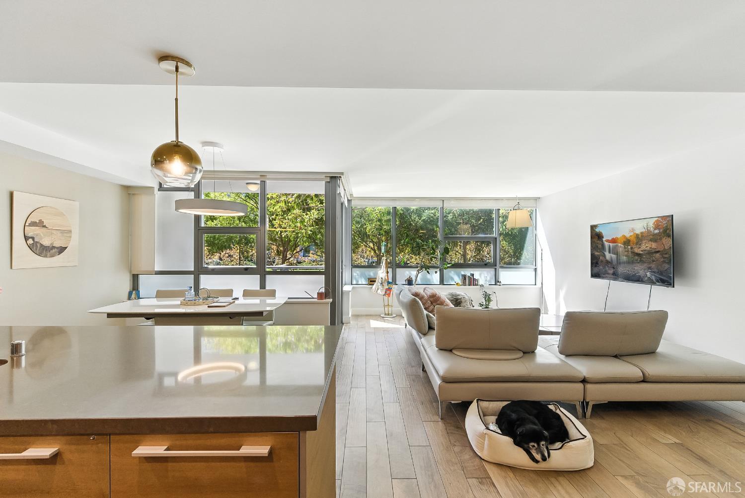 Detail Gallery Image 1 of 70 For 420 N Mission Bay Blvd #103,  San Francisco,  CA 94158 - 2 Beds | 2/1 Baths