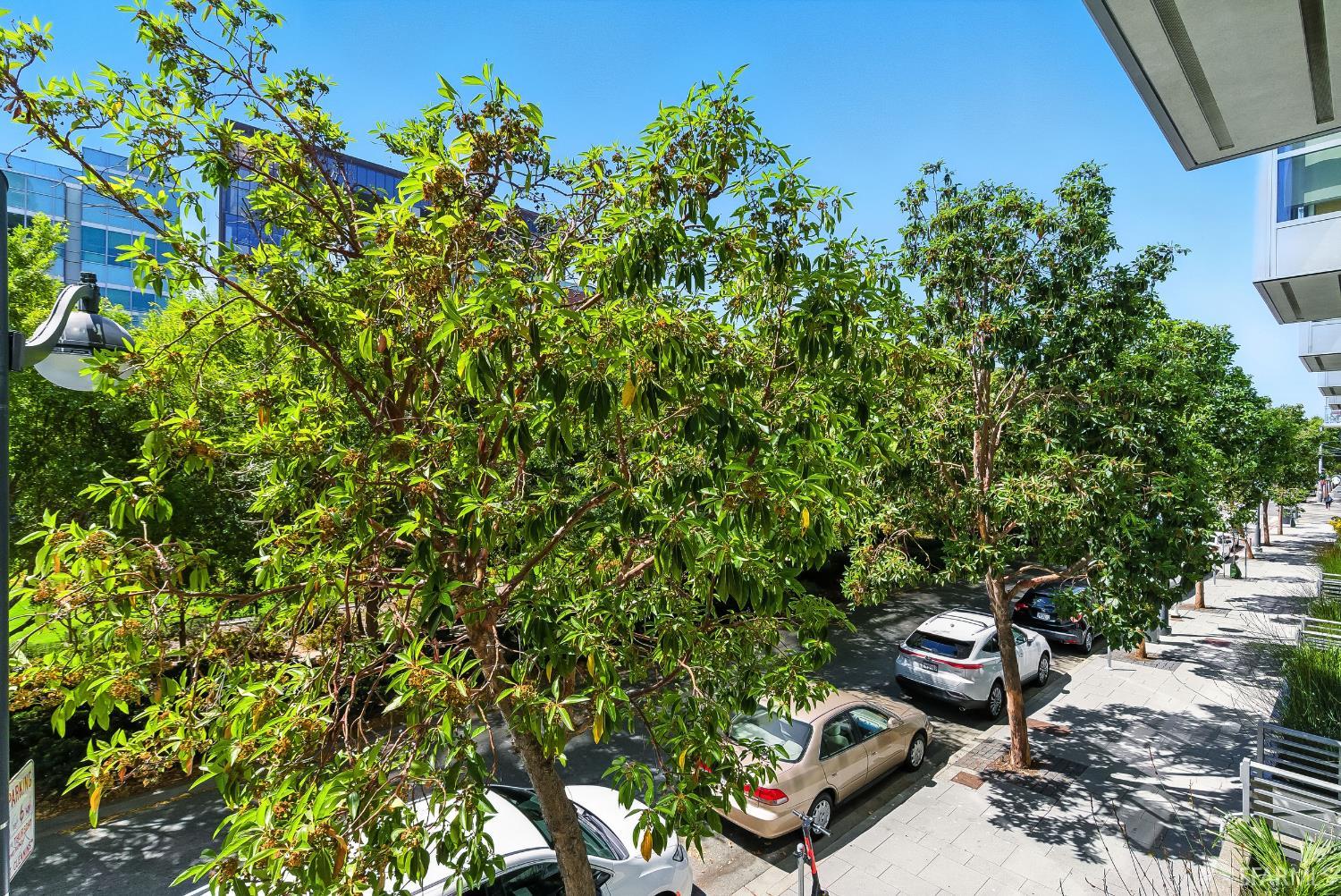Detail Gallery Image 29 of 70 For 420 N Mission Bay Blvd #103,  San Francisco,  CA 94158 - 2 Beds | 2/1 Baths
