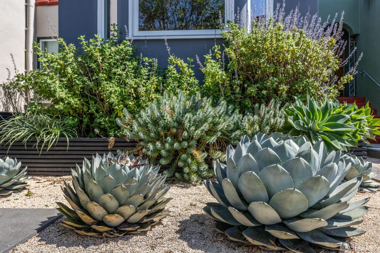 Detail Gallery Image 42 of 45 For 67 Otsego Ave, San Francisco,  CA 94112 - 3 Beds | 2 Baths