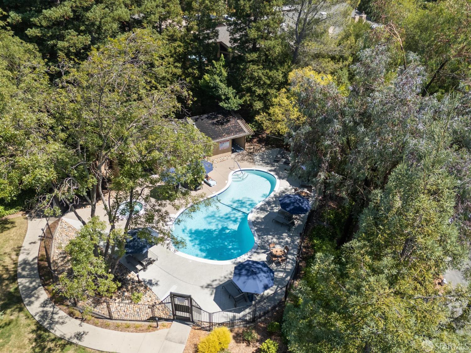 Detail Gallery Image 55 of 64 For 188 Alamo Sqr, Alamo,  CA 94507 - 3 Beds | 2/1 Baths