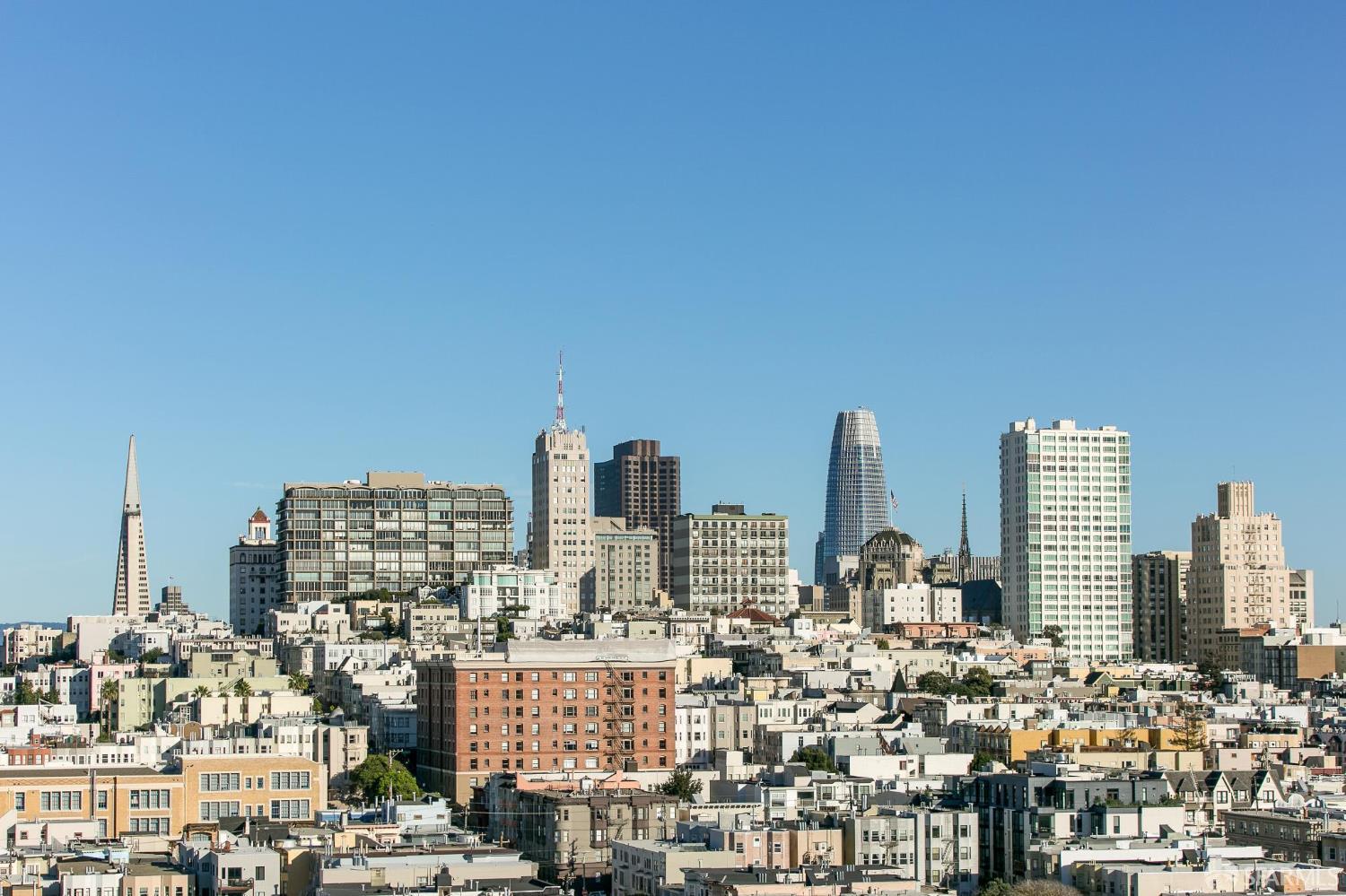 Photo #39: 425070027 Listing: Photo #39