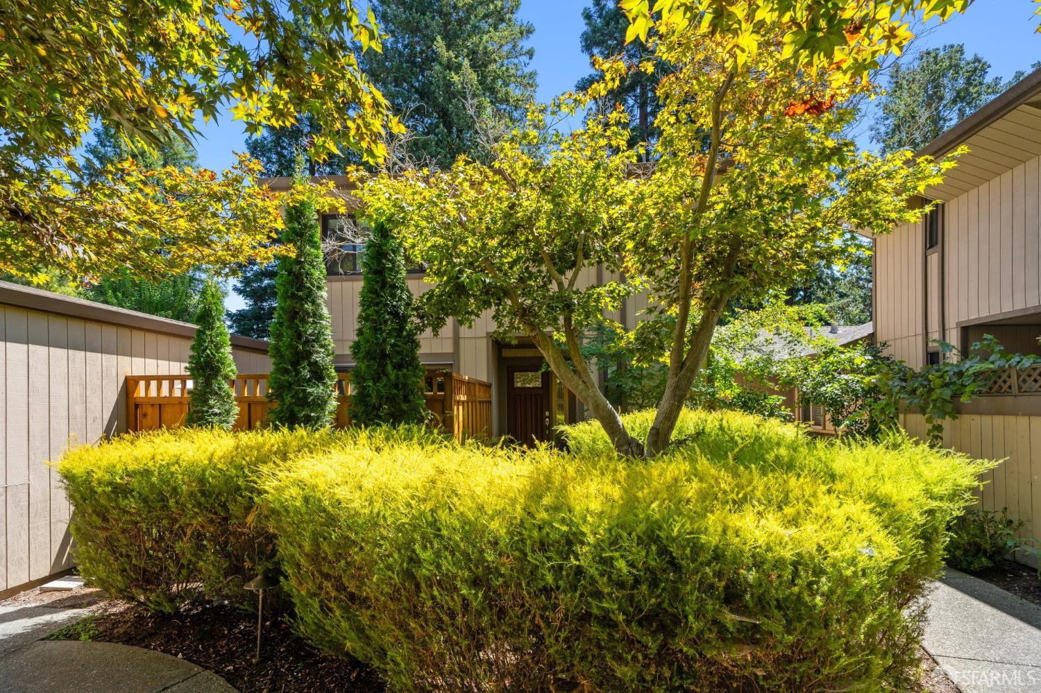 Detail Gallery Image 44 of 64 For 188 Alamo Sqr, Alamo,  CA 94507 - 3 Beds | 2/1 Baths