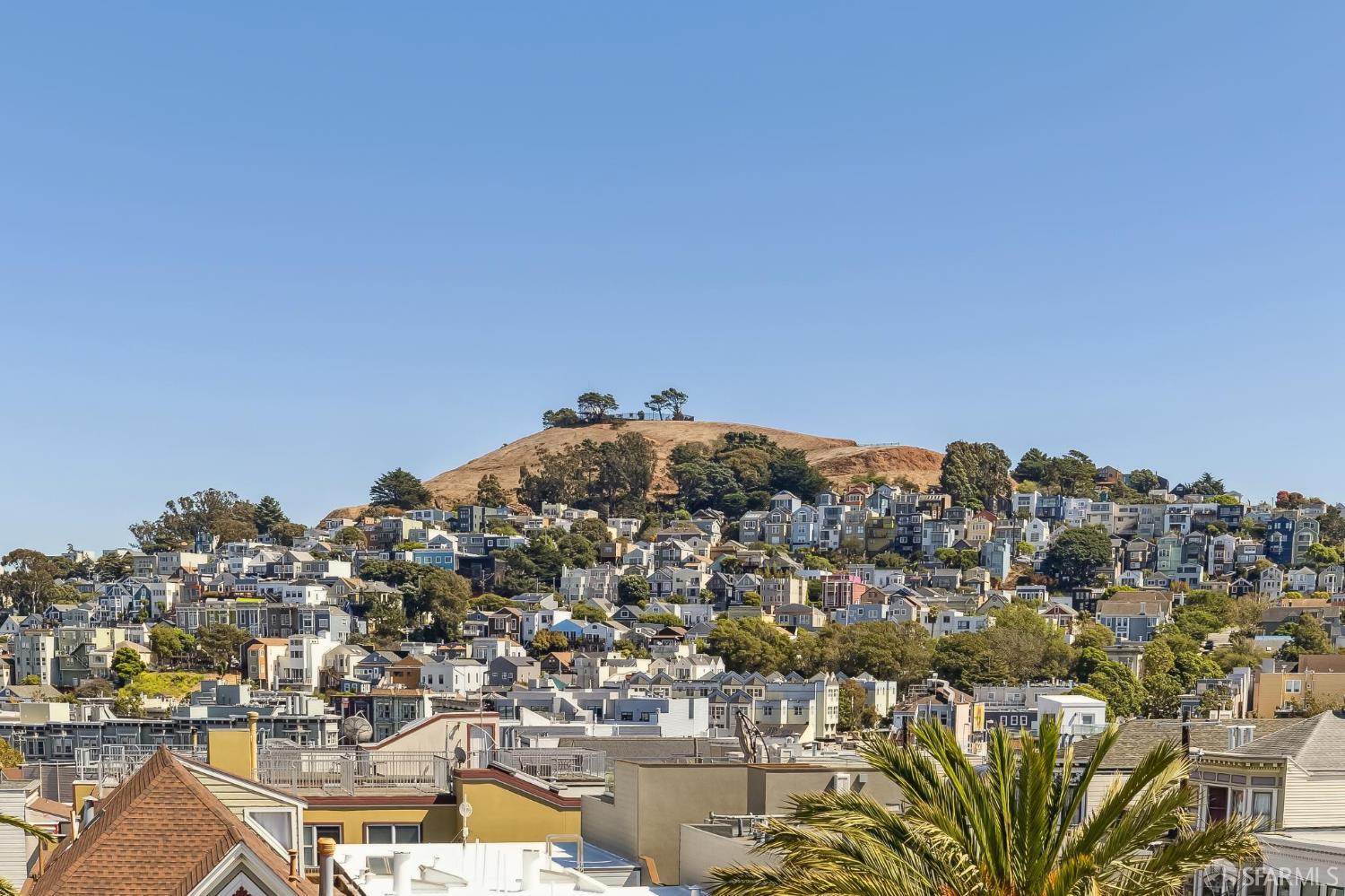 Detail Gallery Image 36 of 48 For 1592 Dolores St, San Francisco,  CA 94110 - 3 Beds | 2 Baths
