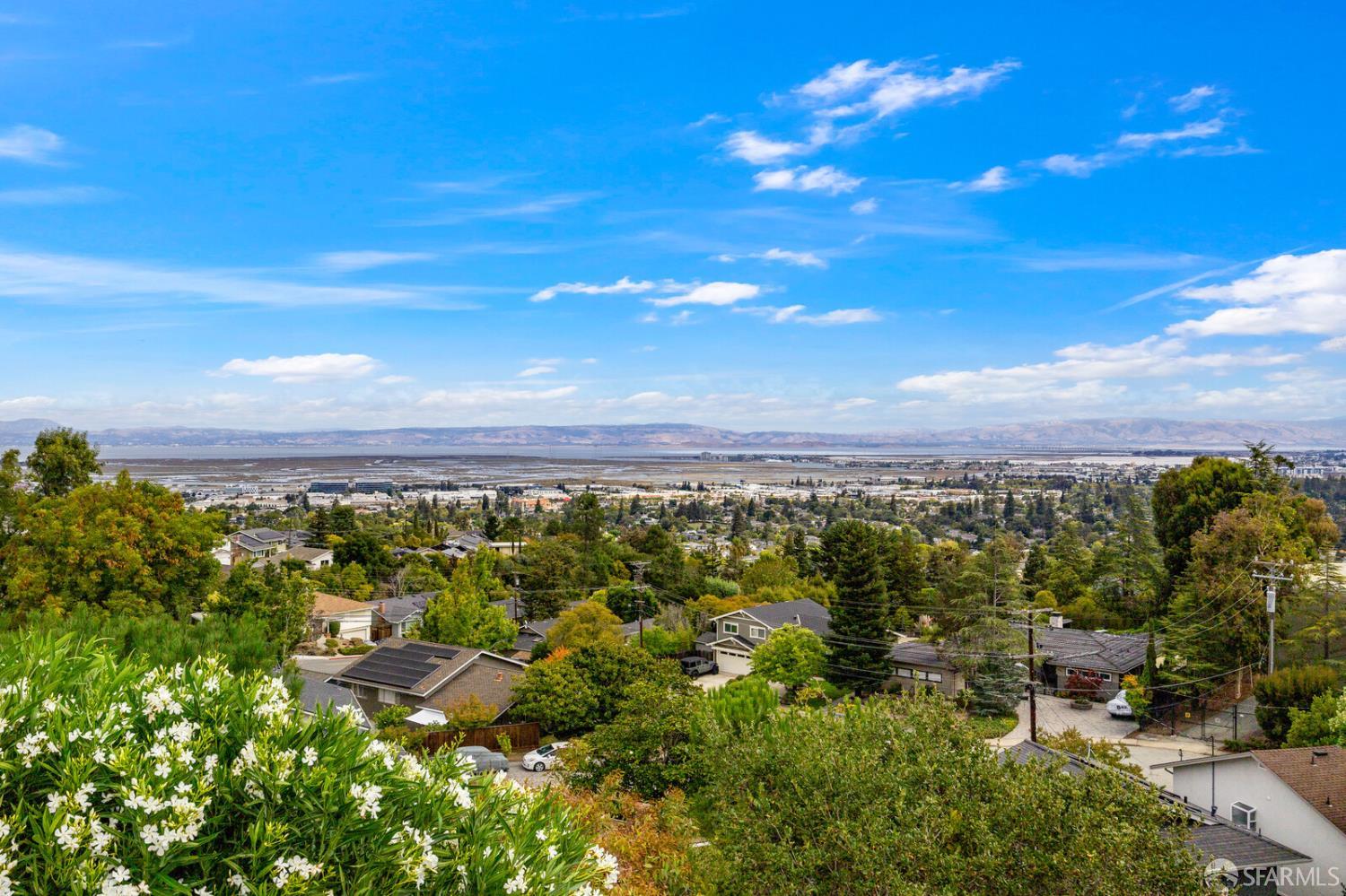Detail Gallery Image 23 of 32 For 1033 Hewitt Dr, San Carlos,  CA 94070 - 3 Beds | 2 Baths