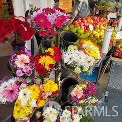 Detail Gallery Image 5 of 11 For 598 Castro St, San Francisco,  CA 94114 - – Beds | – Baths