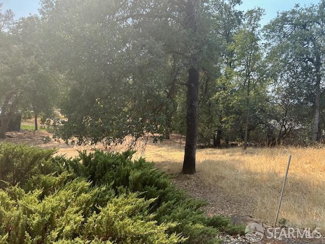 Detail Gallery Image 62 of 62 For 19481 N Rambling Oak Dr, Redding,  CA 96003 - 3 Beds | 2 Baths