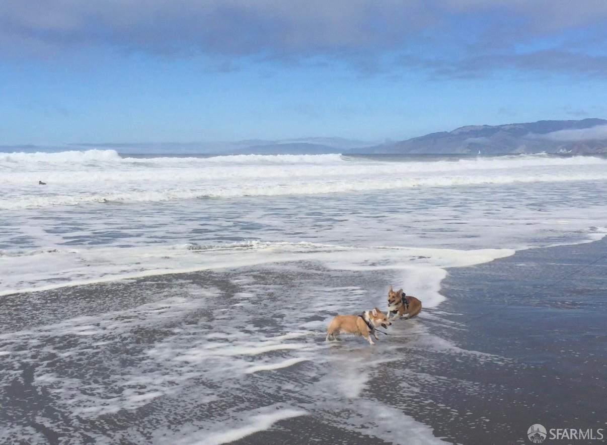 Detail Gallery Image 38 of 41 For 3622 Rivera St, San Francisco,  CA 94116 - 3 Beds | 2 Baths