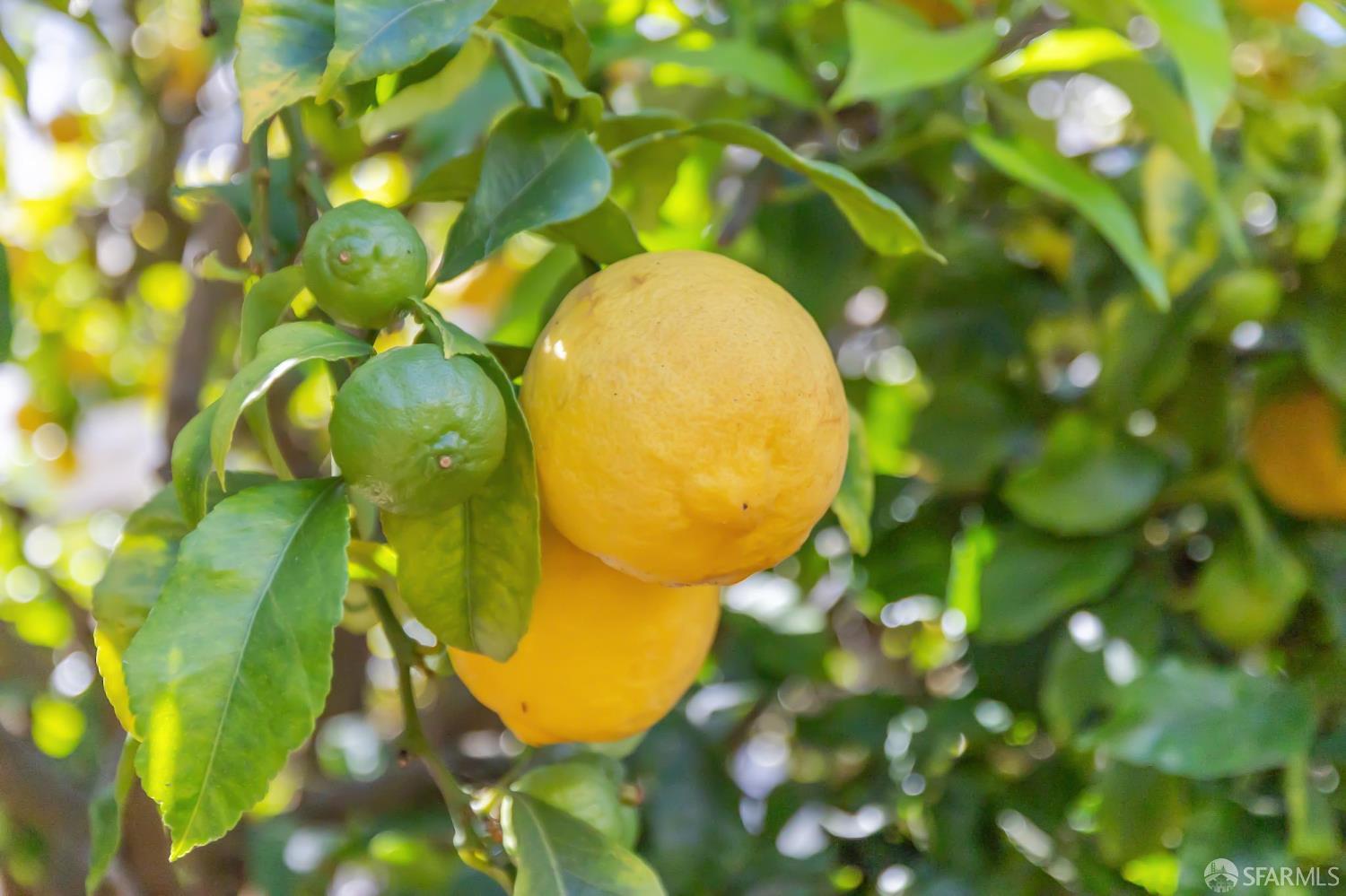 Detail Gallery Image 44 of 85 For 22 Beaver St, San Francisco,  CA 94114 - 5 Beds | 4 Baths