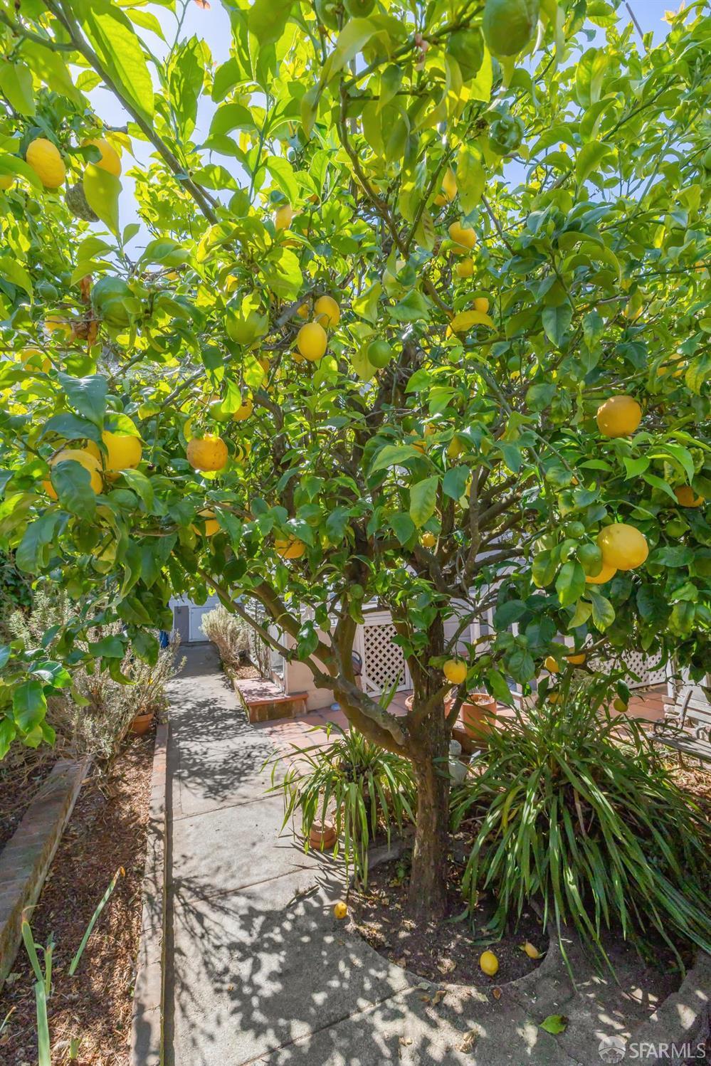 Detail Gallery Image 43 of 85 For 22 Beaver St, San Francisco,  CA 94114 - 5 Beds | 4 Baths