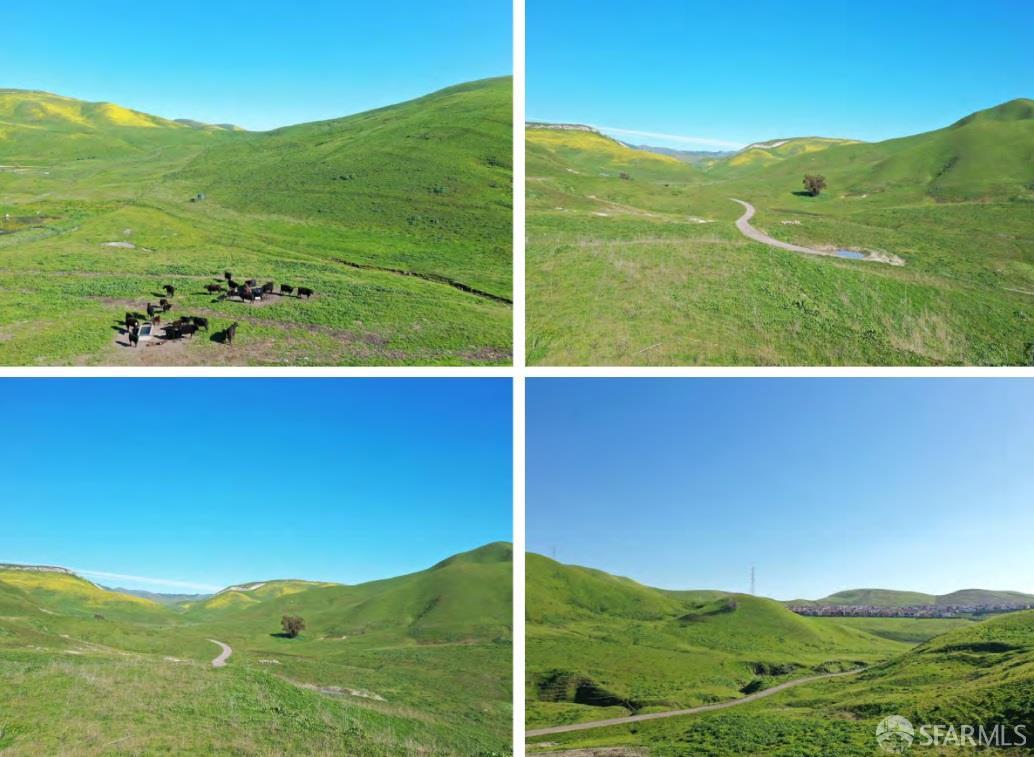 Detail Gallery Image 3 of 11 For 6401 Camino Tassajara, San Ramon,  CA 94583 - – Beds | – Baths