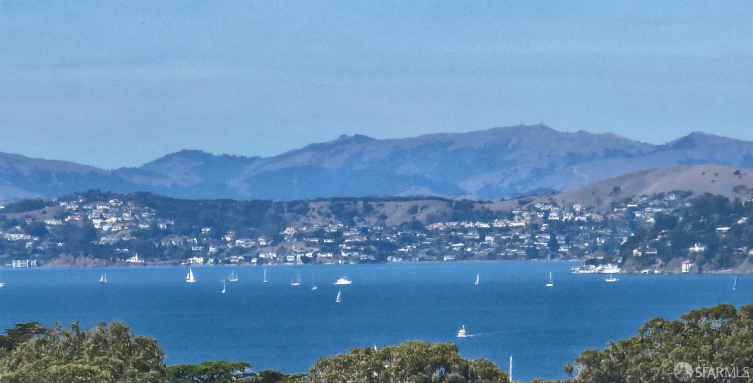 Detail Gallery Image 36 of 42 For 1380 Greenwich St #205,  San Francisco,  CA 94109 - 1 Beds | 1 Baths