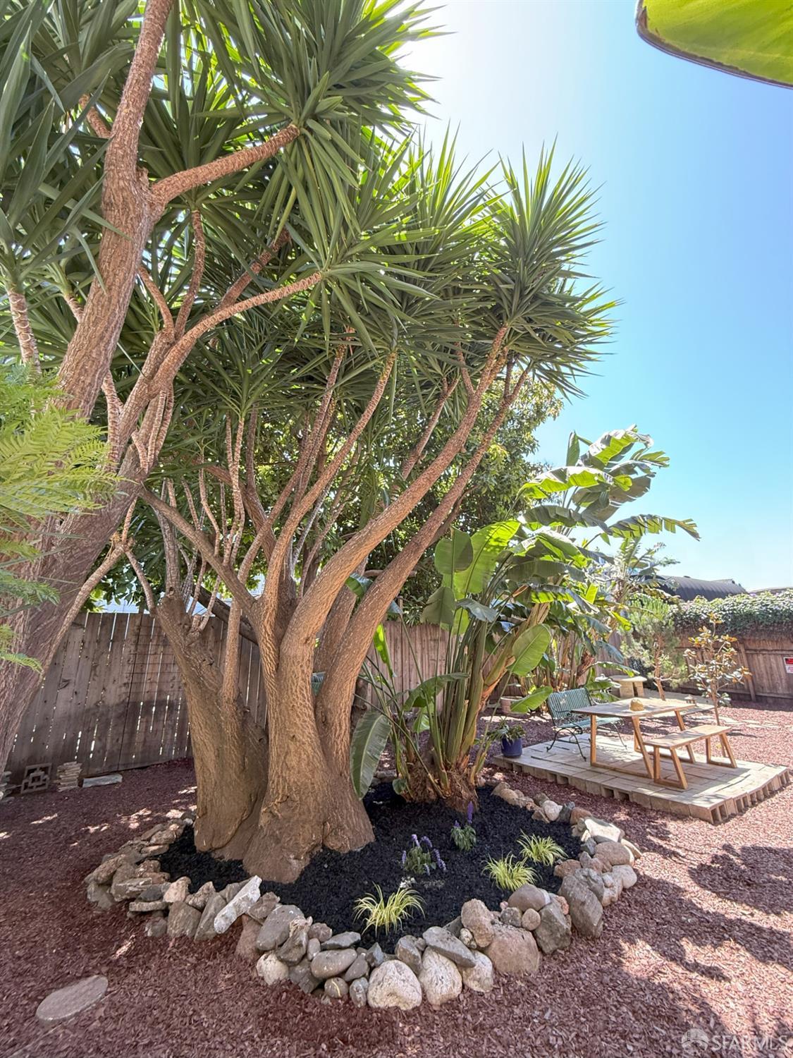 Detail Gallery Image 5 of 48 For 423 South Van Ness Ave, San Francisco,  CA 94103 - – Beds | – Baths