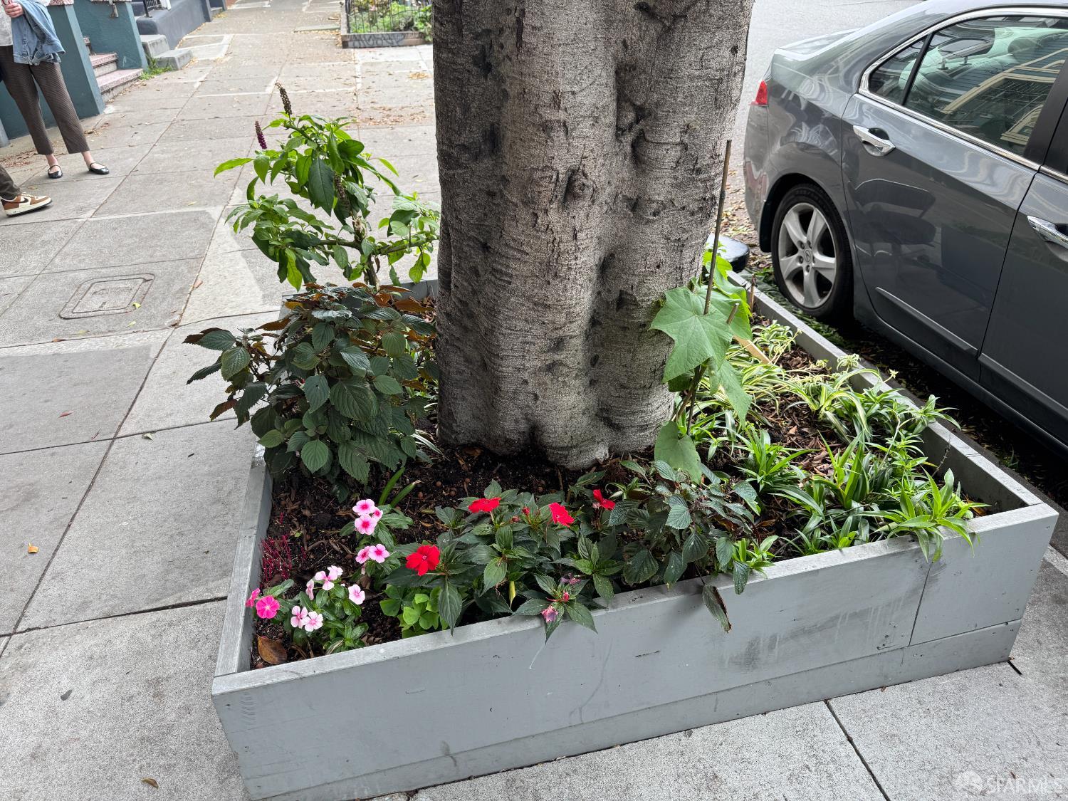 Detail Gallery Image 3 of 15 For 211 Steiner St, San Francisco,  CA 94117 - – Beds | – Baths