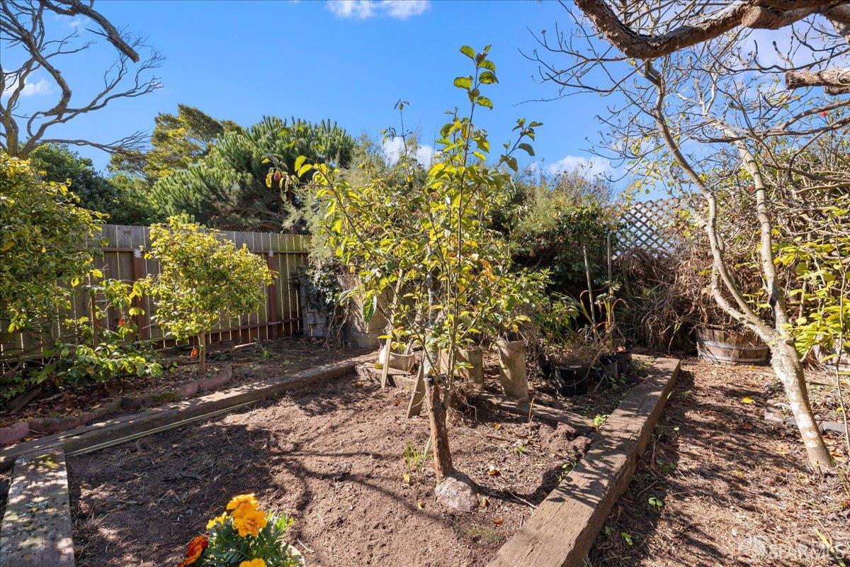 Detail Gallery Image 40 of 42 For 1735 28th Ave, San Francisco,  CA 94122 - 4 Beds | 2 Baths