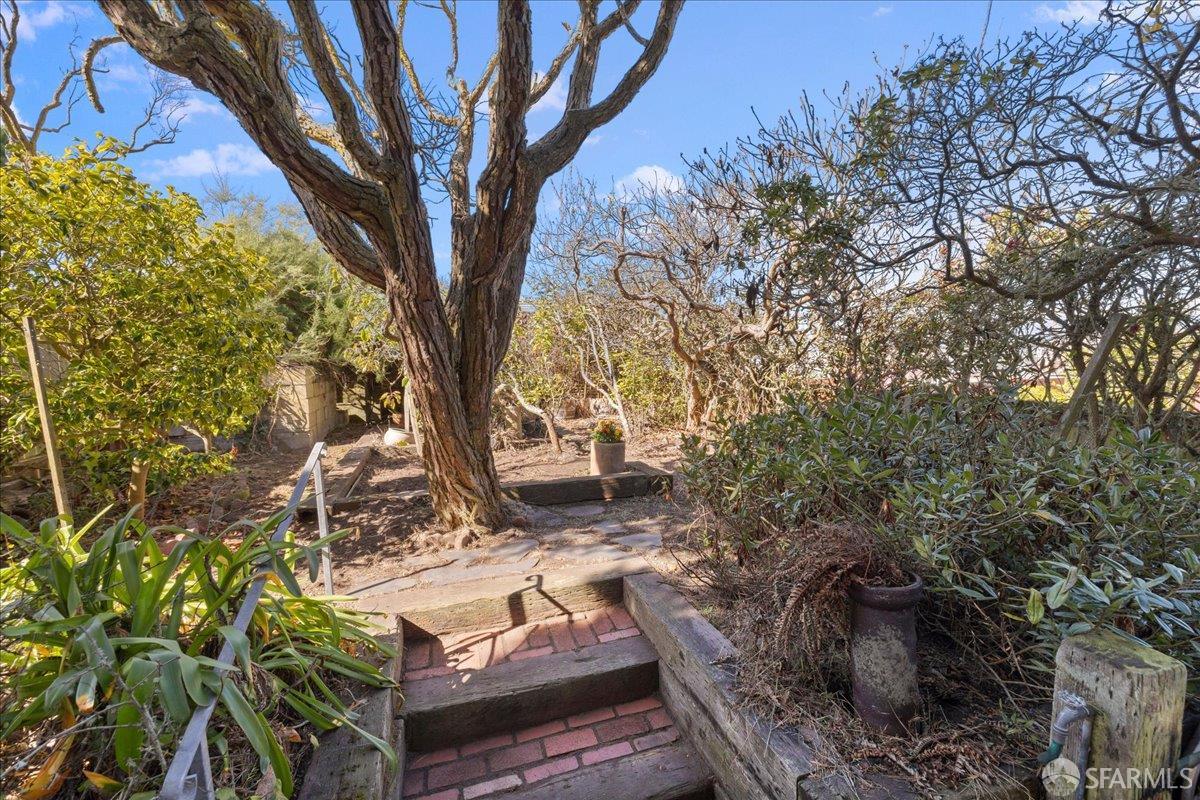 Detail Gallery Image 38 of 42 For 1735 28th Ave, San Francisco,  CA 94122 - 4 Beds | 2 Baths