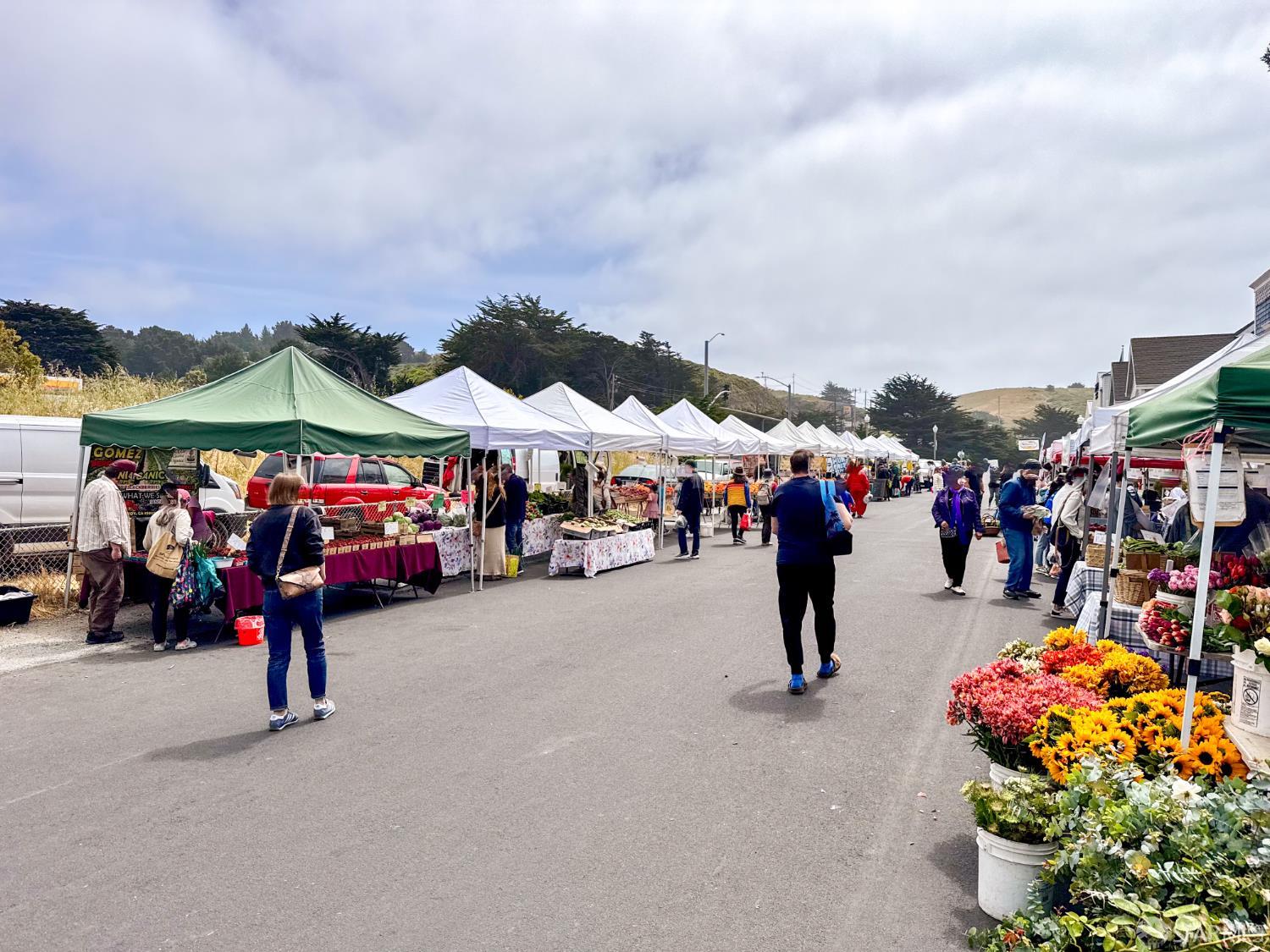 Detail Gallery Image 51 of 88 For 656 Forest Lake Dr, Pacifica,  CA 94044 - 3 Beds | 2/1 Baths