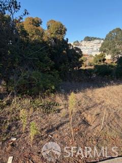 Front Image Thumbnail for SF425081774