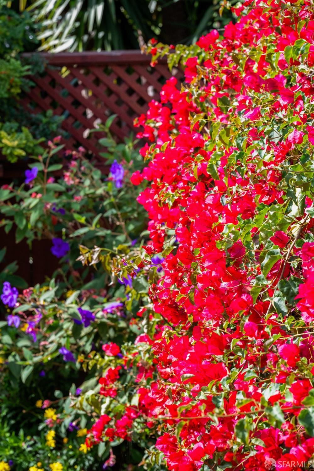 Detail Gallery Image 51 of 59 For 309 Steiner St #D,  San Francisco,  CA 94117 - 3 Beds | 1/1 Baths