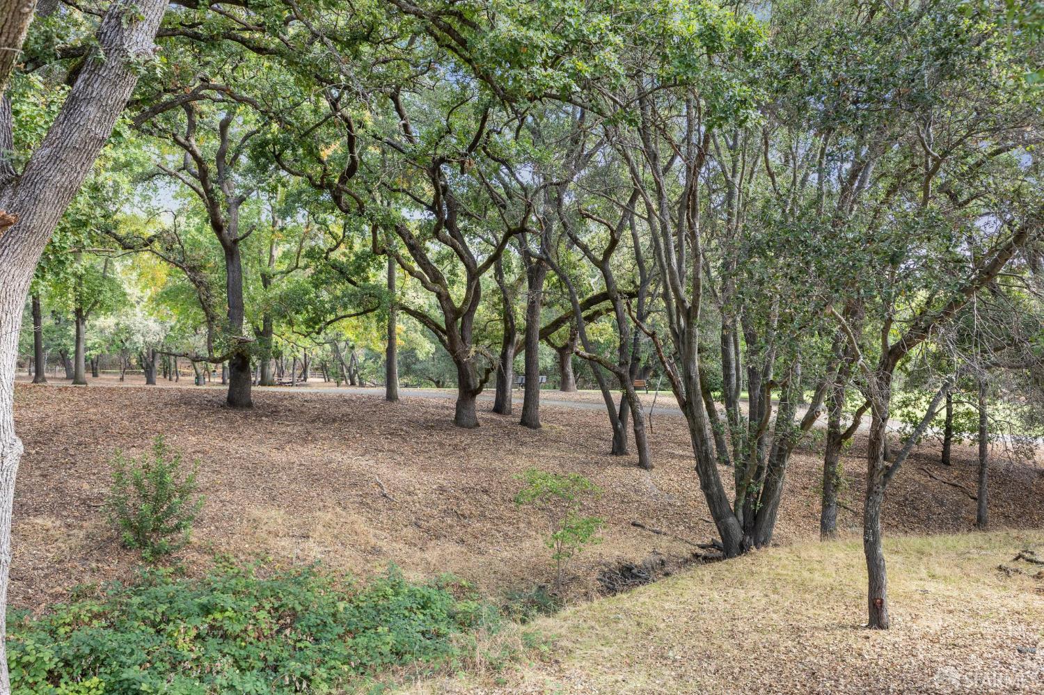 Detail Gallery Image 82 of 86 For 2 Beaumont Ct, Lafayette,  CA 94549 - 6 Beds | 3/1 Baths