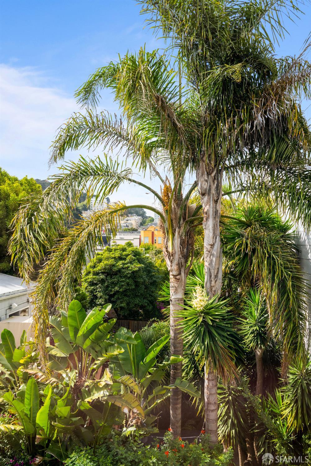 Detail Gallery Image 52 of 59 For 309 Steiner St #D,  San Francisco,  CA 94117 - 3 Beds | 1/1 Baths