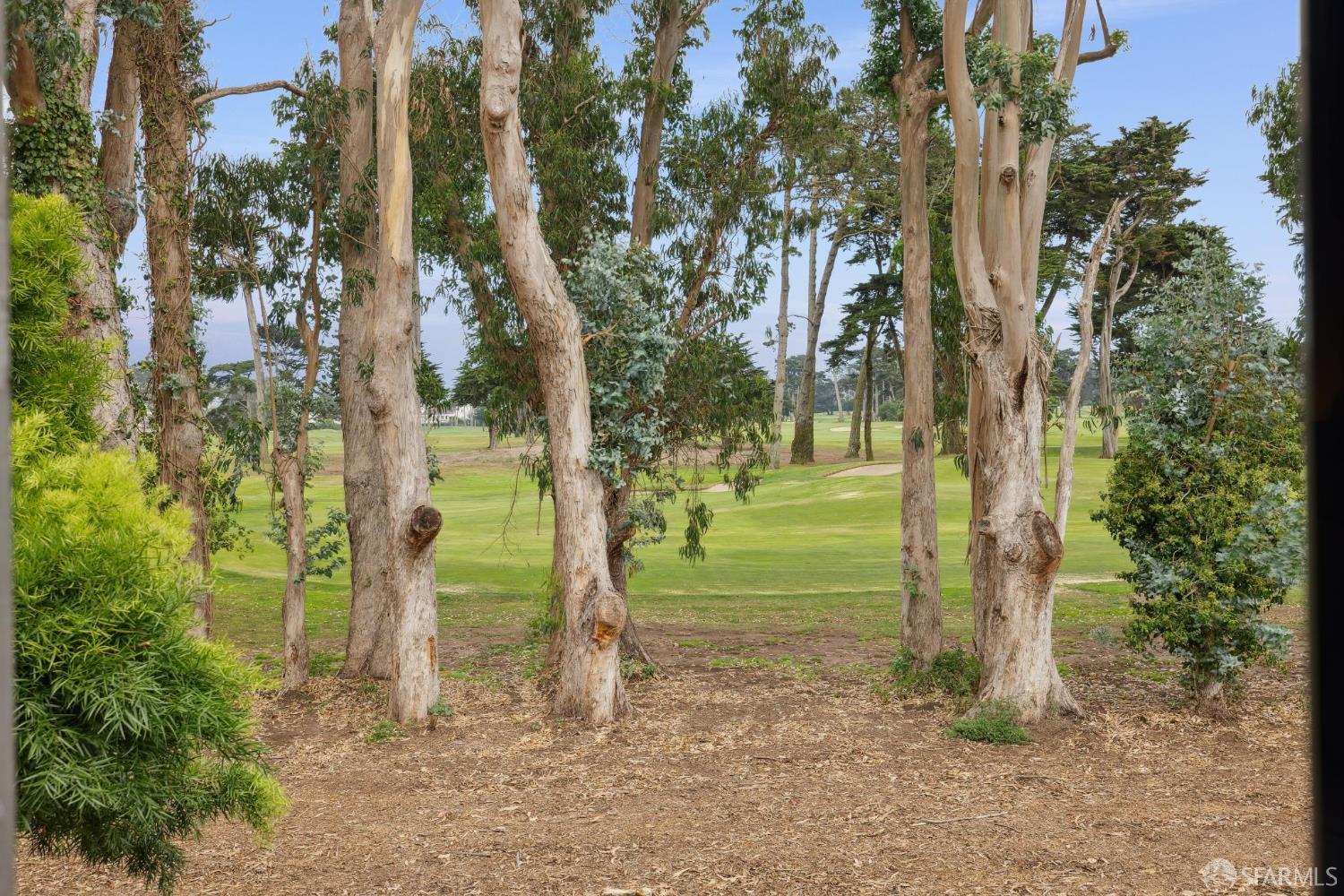 Photo #32: 425083916 Listing: Photo #32