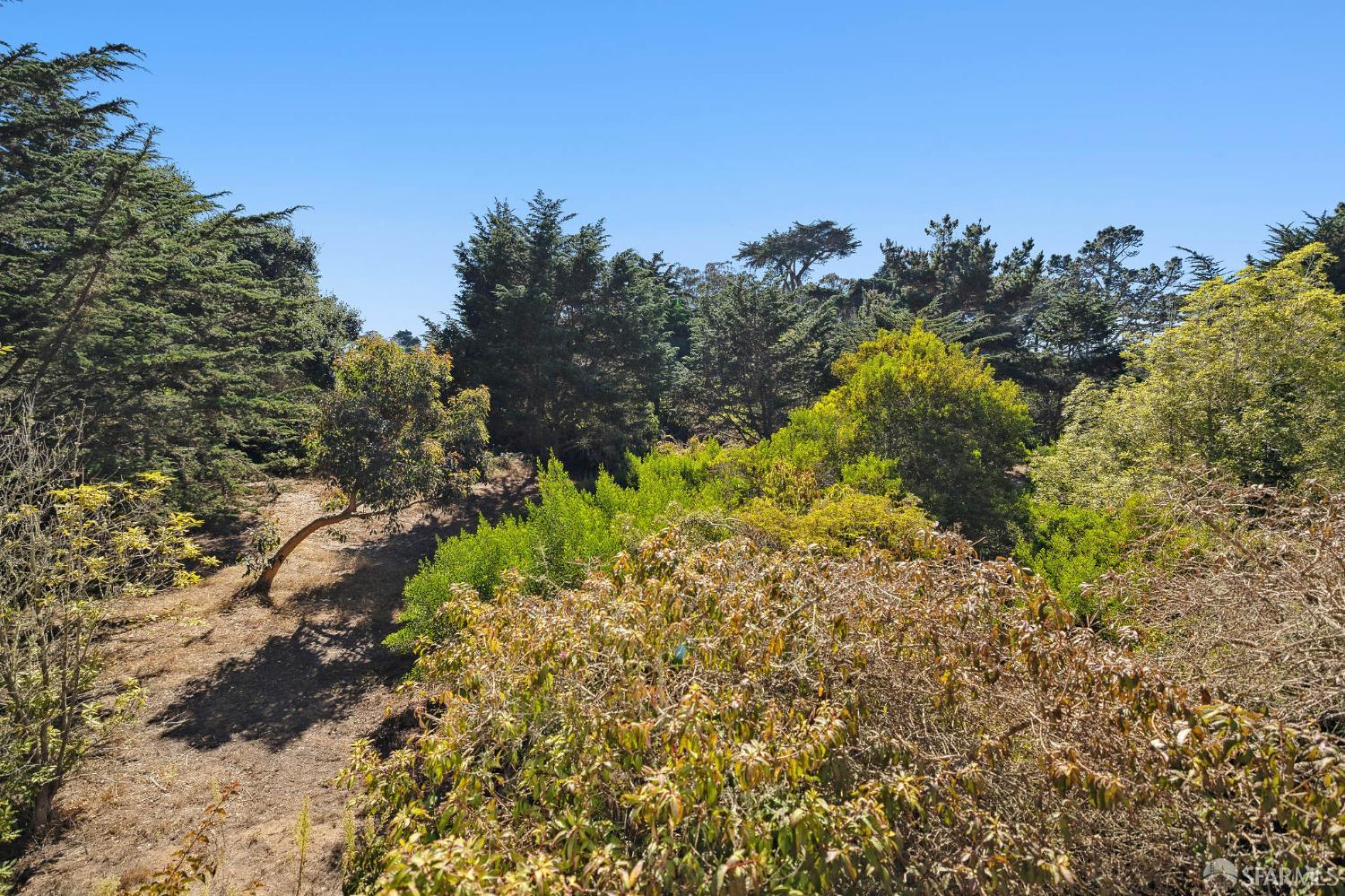 Photo #48: 425083636 Listing: Photo #48