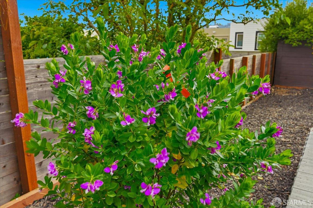 Detail Gallery Image 42 of 54 For 335 Hearst Ave, San Francisco,  CA 94112 - 3 Beds | 2/1 Baths