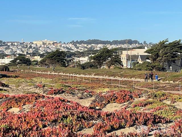 Detail Gallery Image 17 of 19 For 1645 48th Ave, San Francisco,  CA 94122 - 2 Beds | 1 Baths