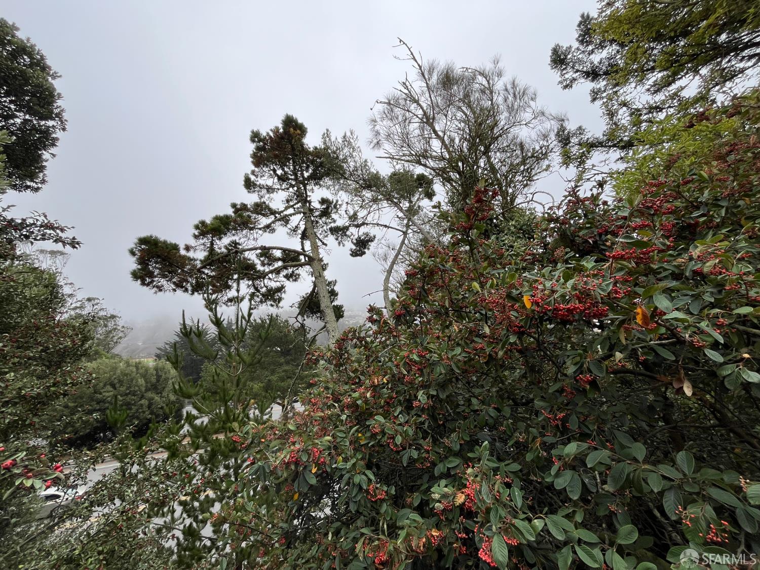 Detail Gallery Image 26 of 31 For 21 Panorama Dr, San Francisco,  CA 94131 - 5 Beds | 3 Baths