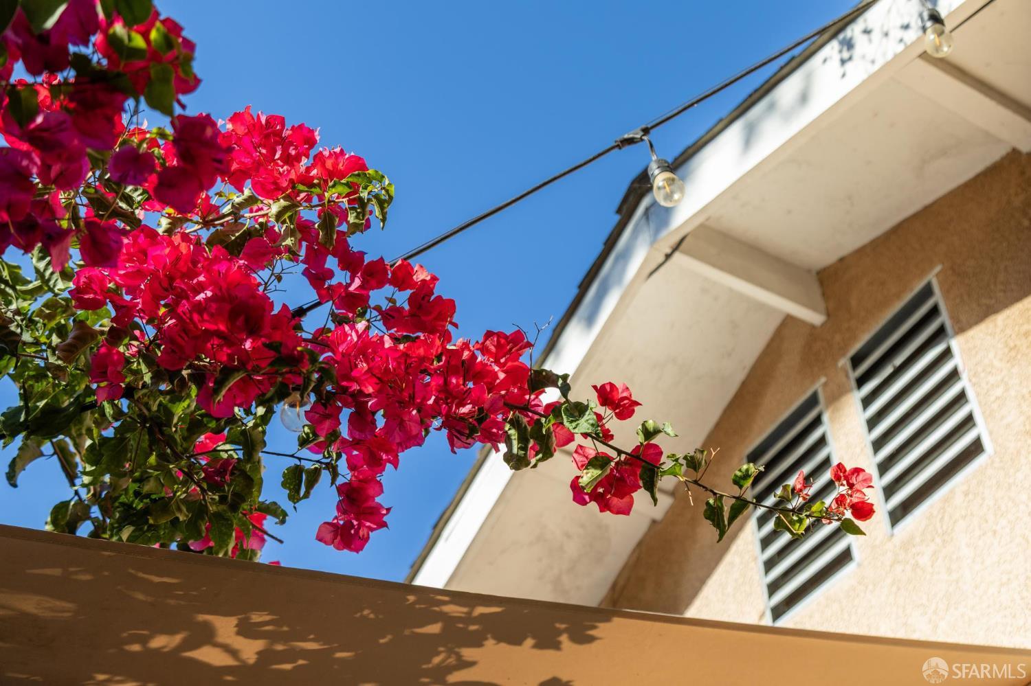 Detail Gallery Image 44 of 47 For 165 W Macarthur Blvd, Oakland,  CA 94611 - 3 Beds | 2/1 Baths