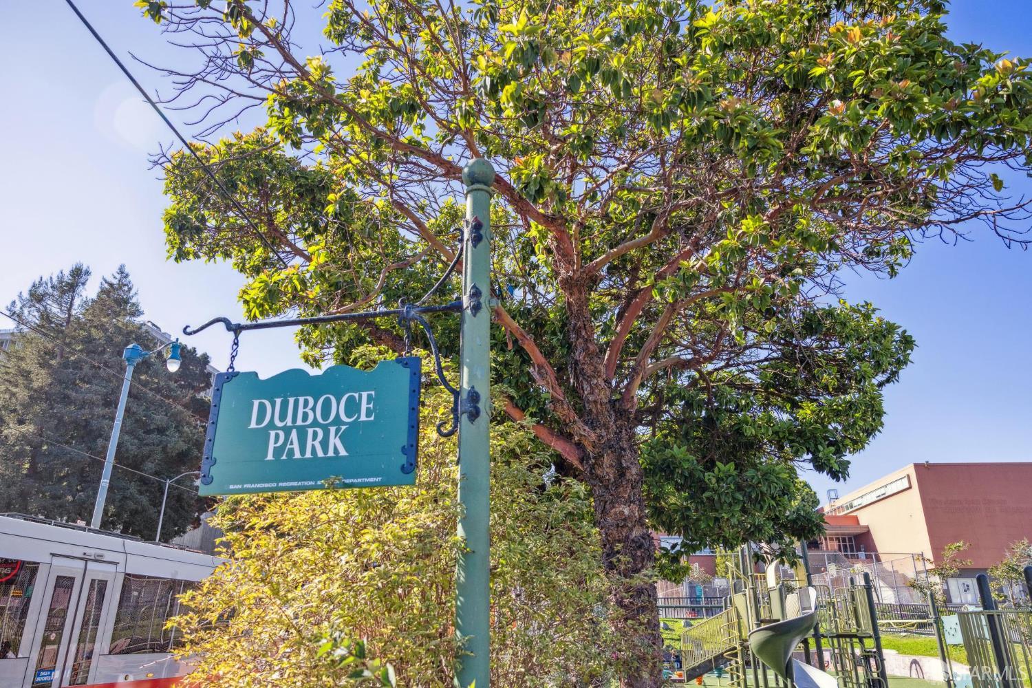 Detail Gallery Image 78 of 92 For 65 Carmelita St, San Francisco,  CA 94117 - 6 Beds | 3/1 Baths