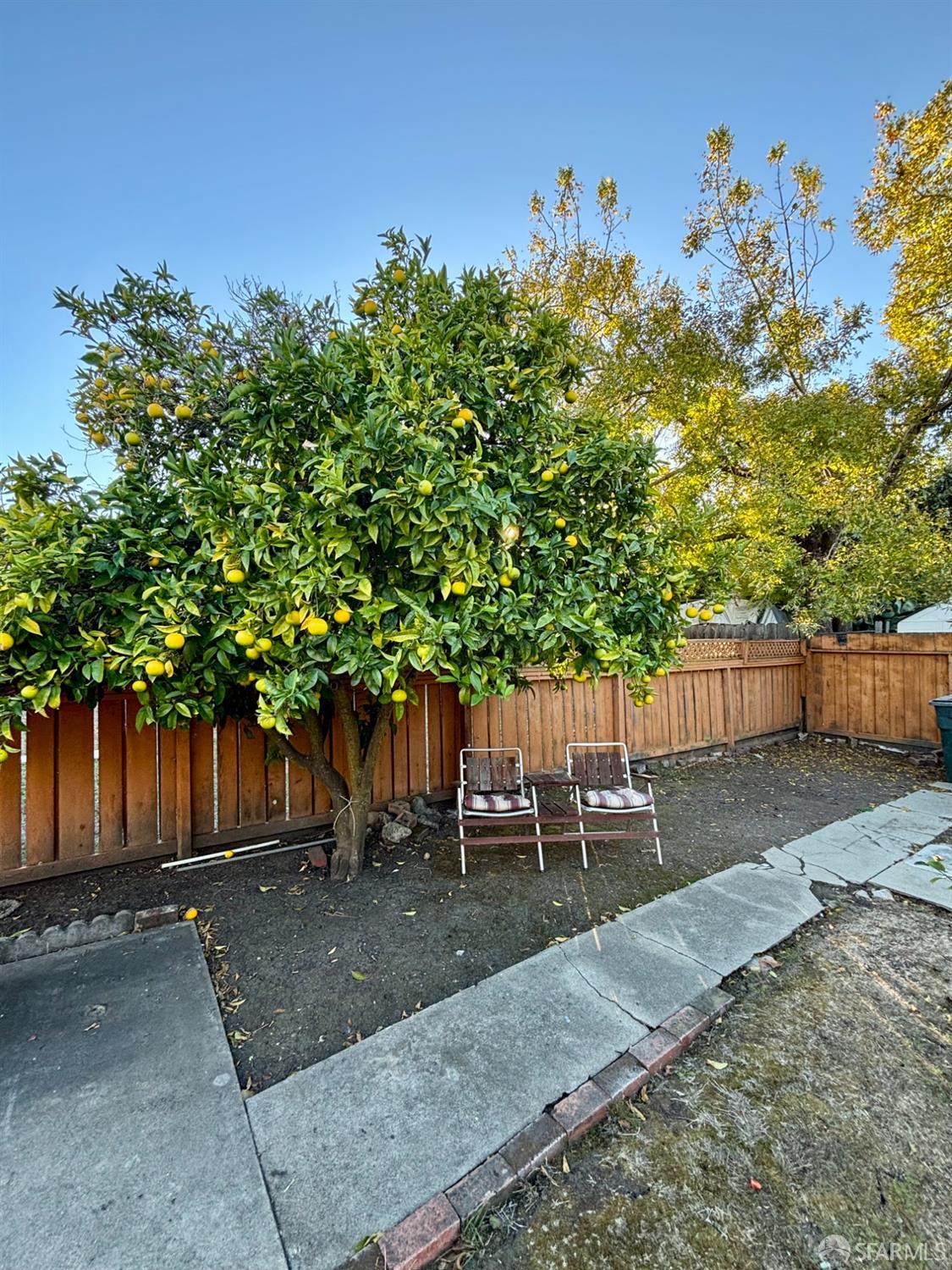 Detail Gallery Image 20 of 25 For 1127 Hollyburne Ave, Menlo Park,  CA 94025 - 3 Beds | 1 Baths