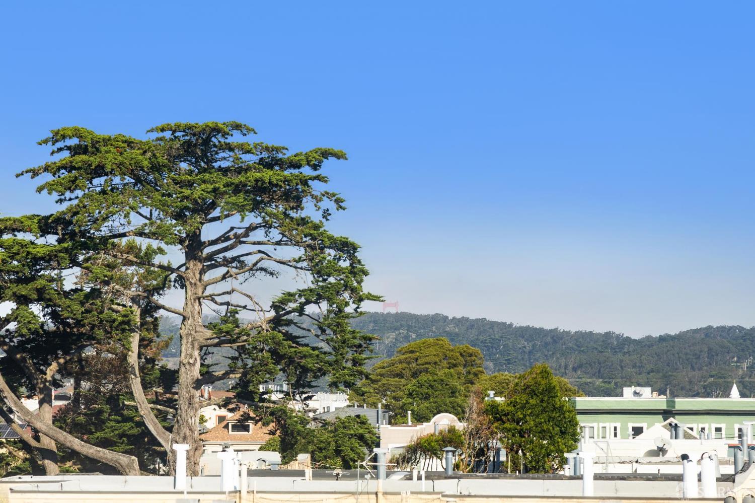 Photo #27: 425086291 Listing: Photo #27