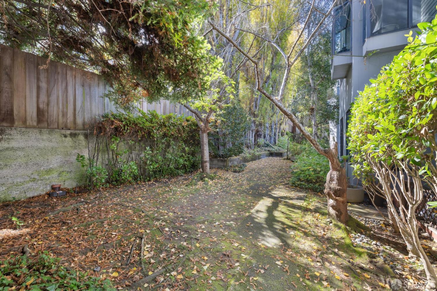 Detail Gallery Image 64 of 65 For 1755 Filbert St 1k,  San Francisco,  CA 94123 - 2 Beds | 1 Baths